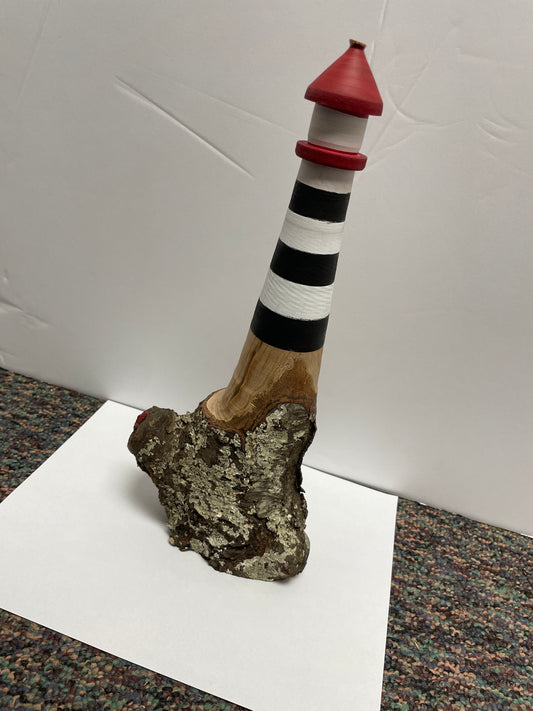 Log Lighthouse private class