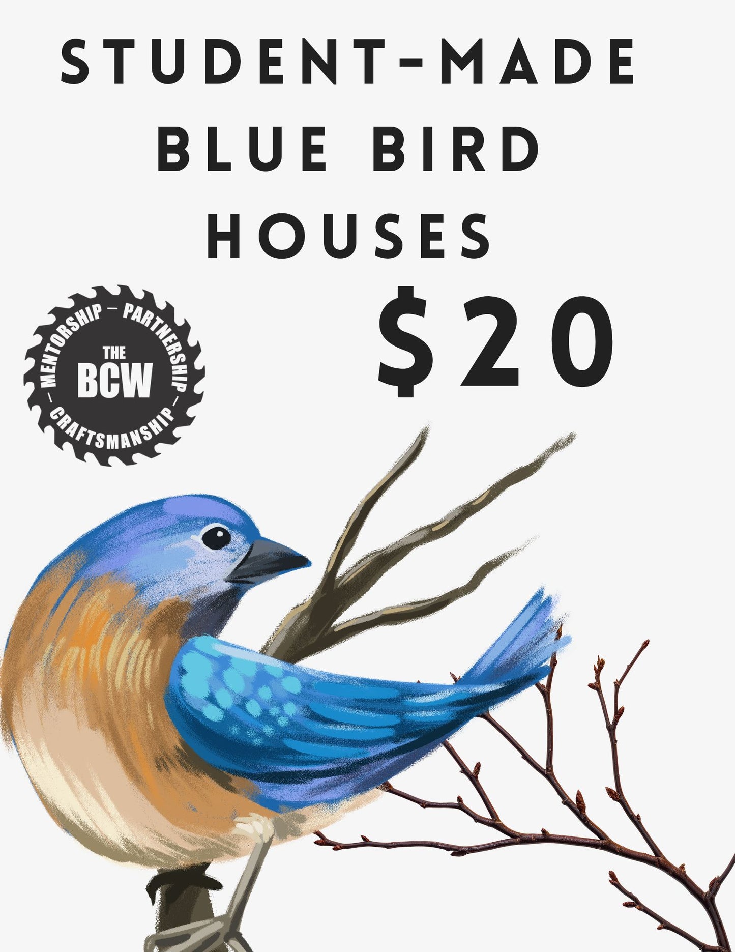 Blue Bird Houses by BCW Students
