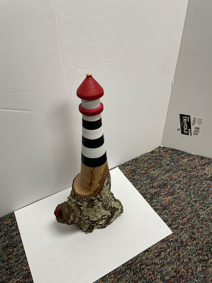 Log Lighthouse private class